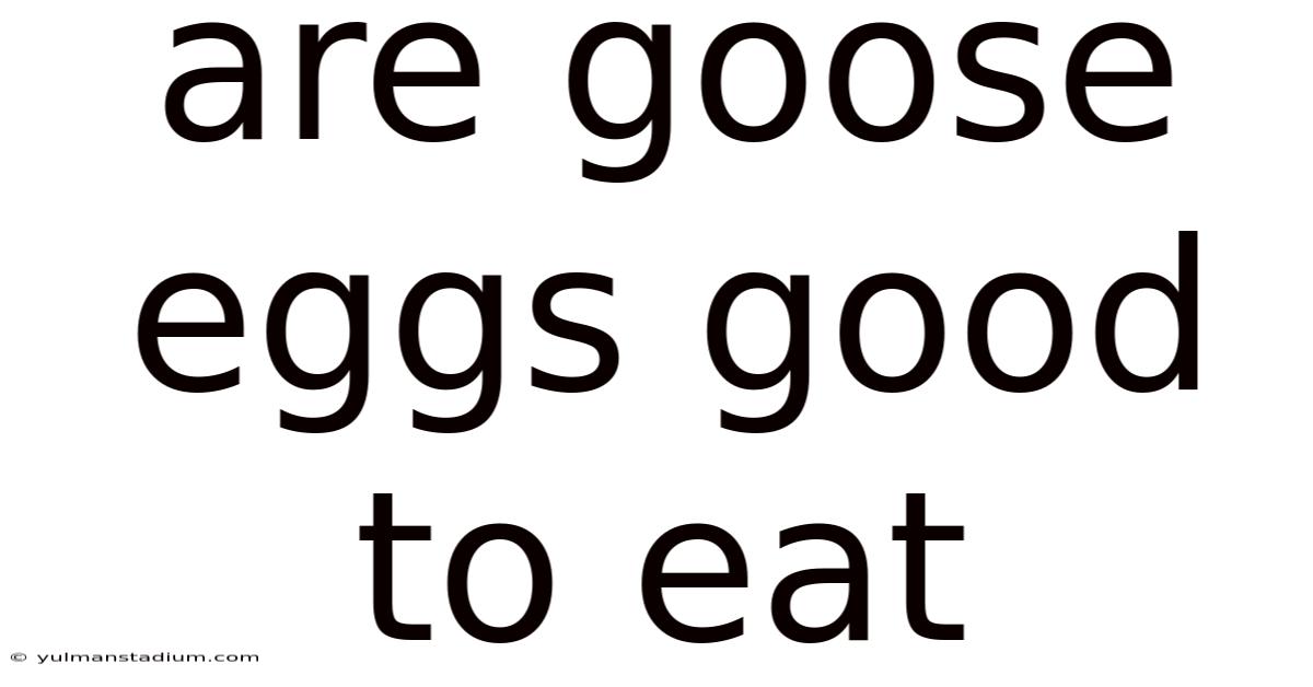 Are Goose Eggs Good To Eat