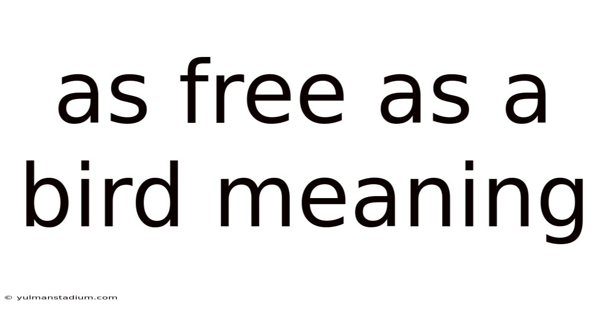 As Free As A Bird Meaning