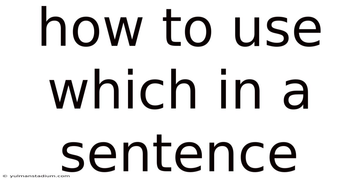 How To Use Which In A Sentence