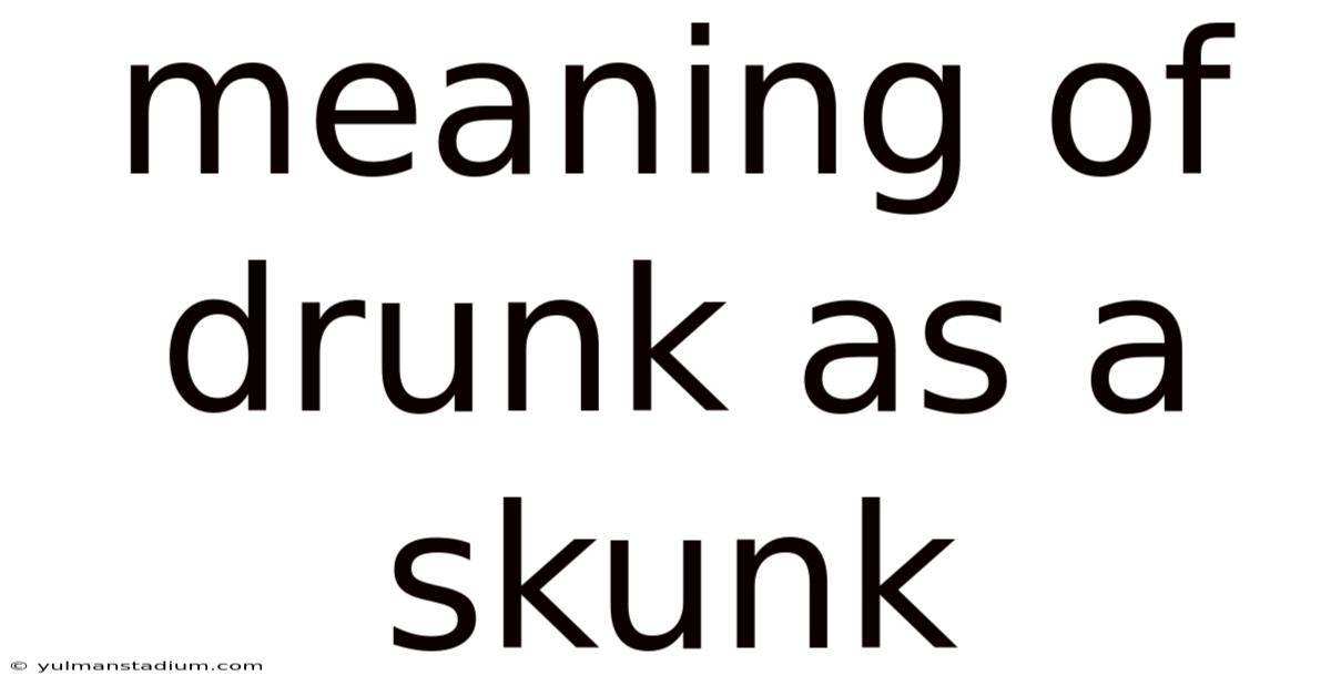 Meaning Of Drunk As A Skunk