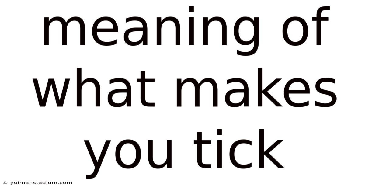 Meaning Of What Makes You Tick