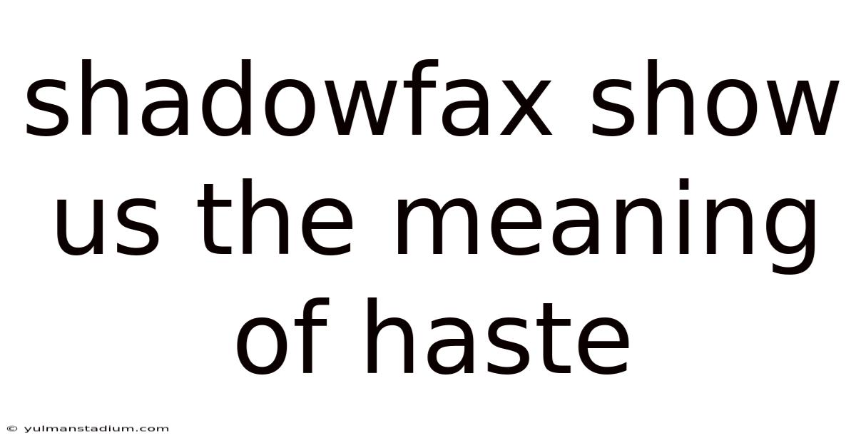 Shadowfax Show Us The Meaning Of Haste