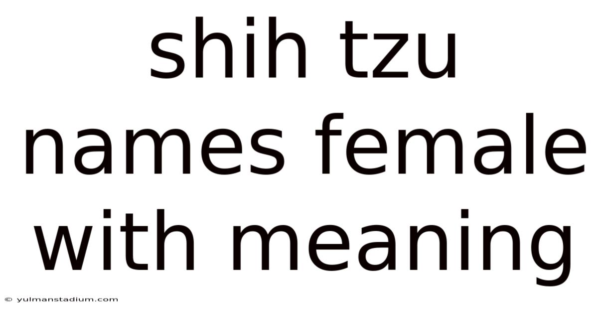 Shih Tzu Names Female With Meaning