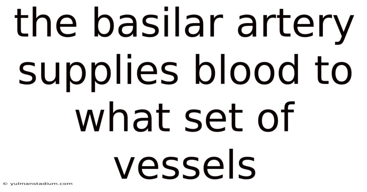 The Basilar Artery Supplies Blood To What Set Of Vessels