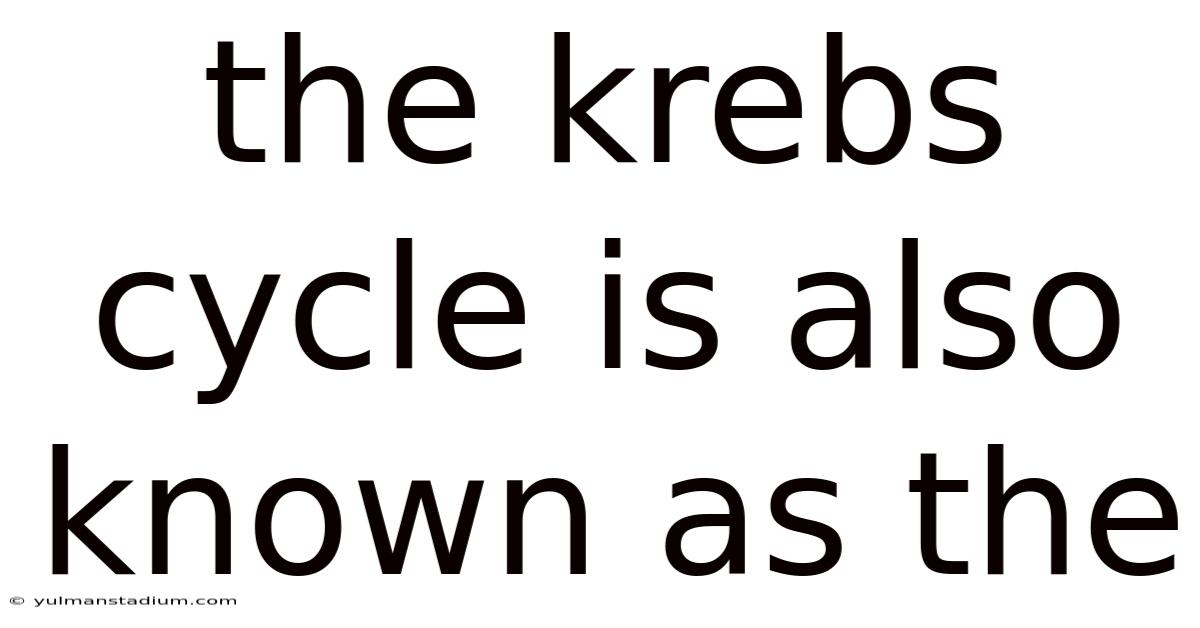 The Krebs Cycle Is Also Known As The