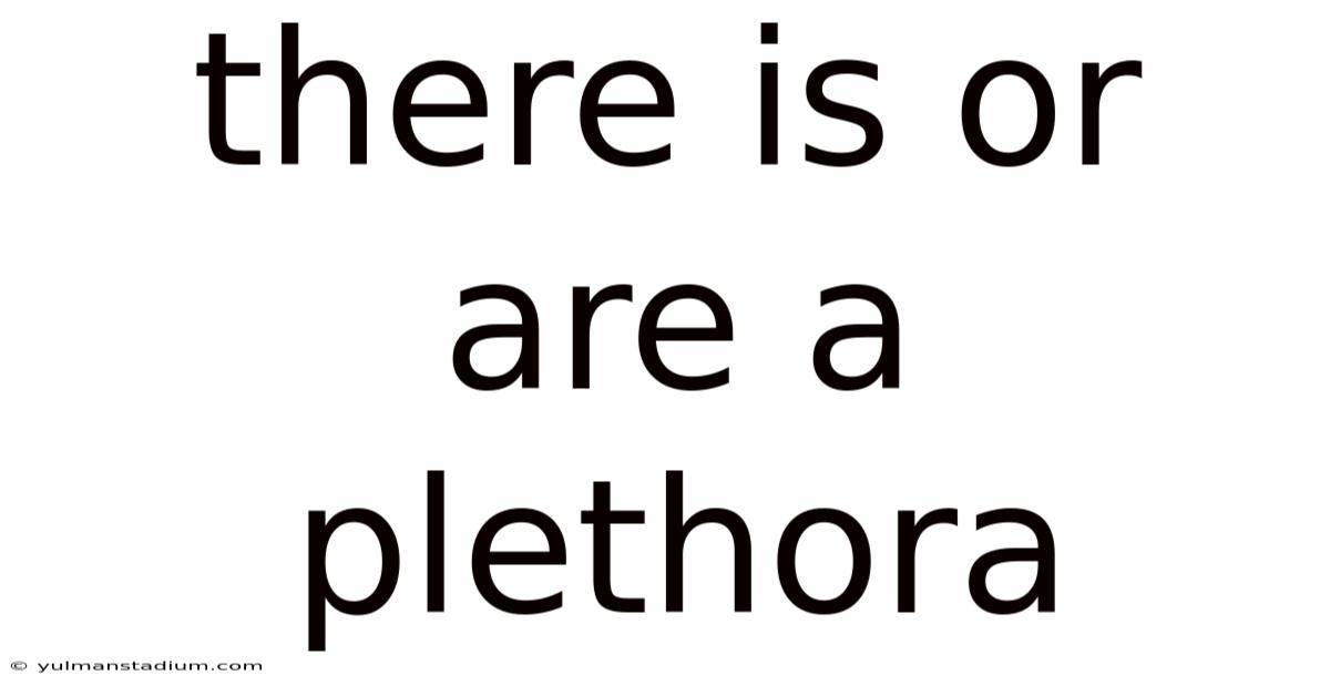 There Is Or Are A Plethora