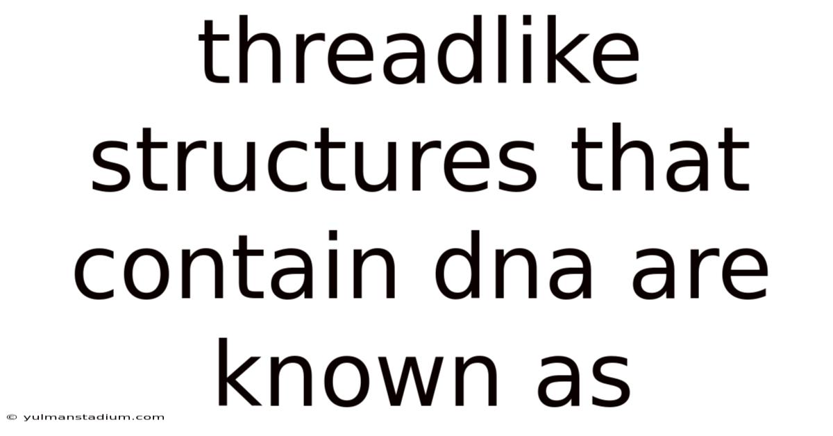 Threadlike Structures That Contain Dna Are Known As