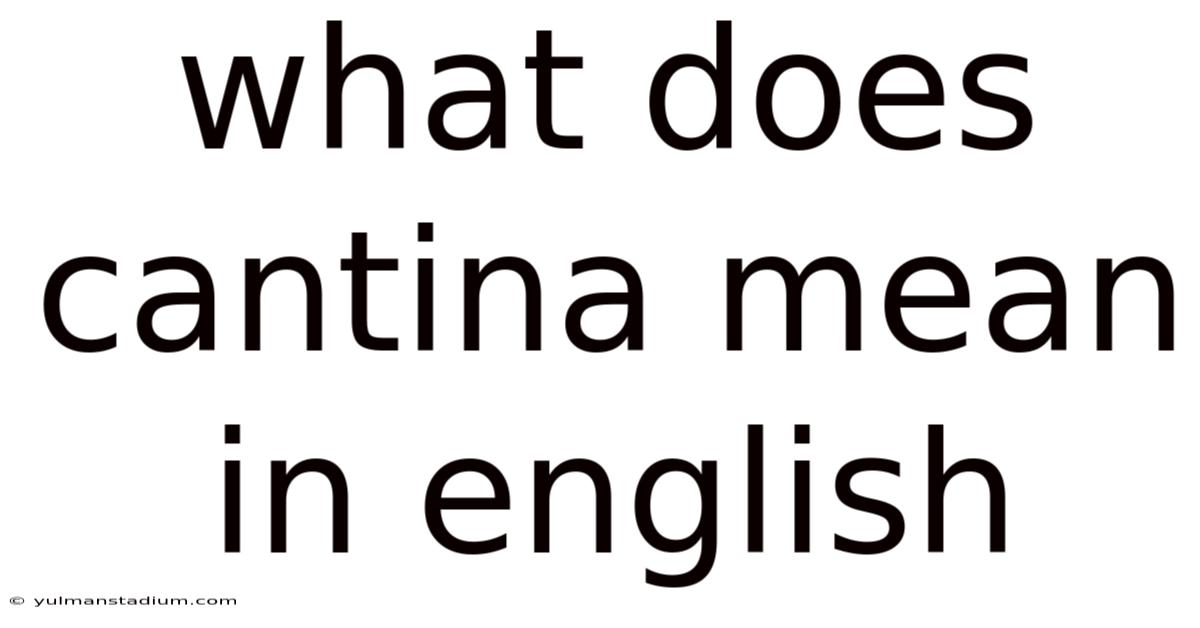 What Does Cantina Mean In English