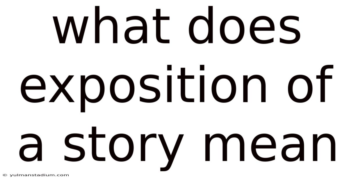 What Does Exposition Of A Story Mean
