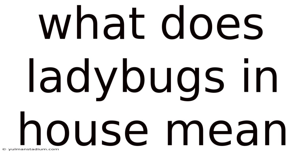 What Does Ladybugs In House Mean