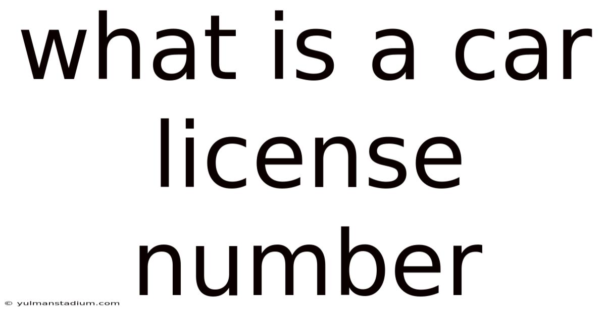 What Is A Car License Number