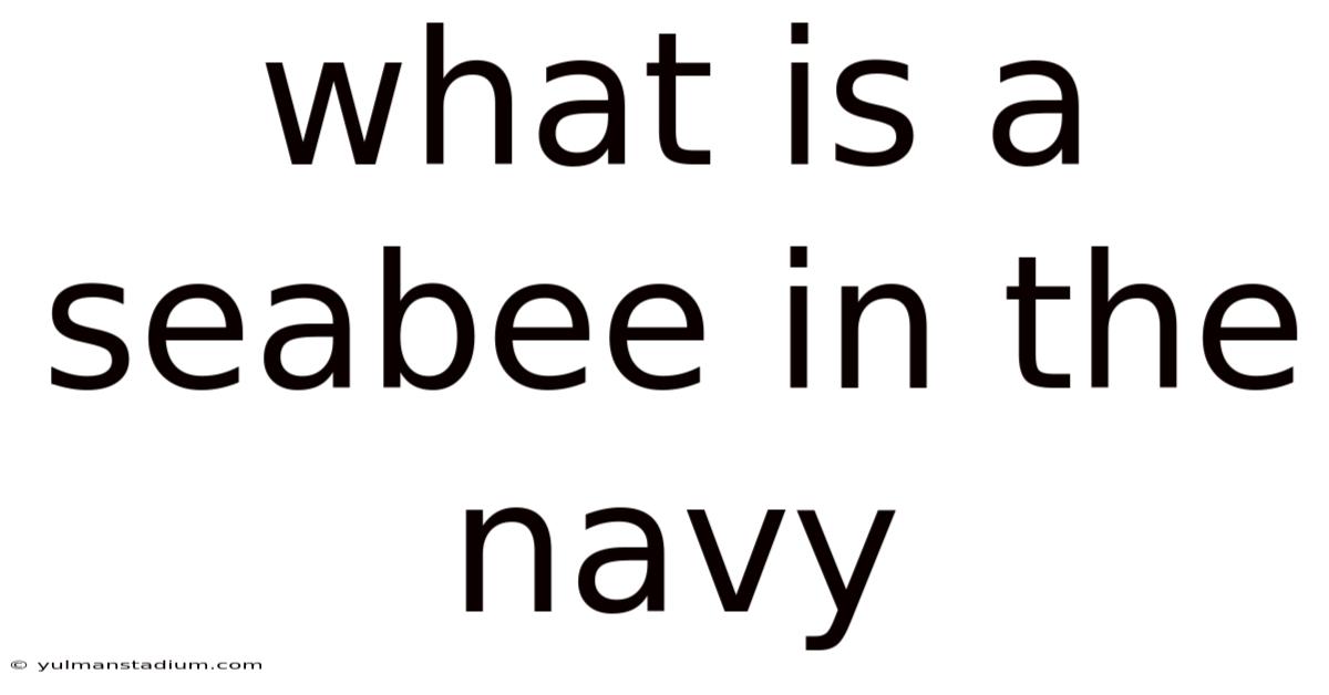 What Is A Seabee In The Navy
