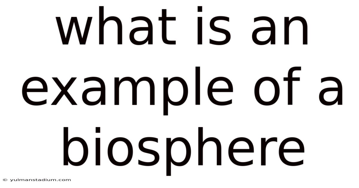 What Is An Example Of A Biosphere