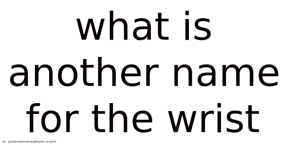 What Is Another Name For The Wrist