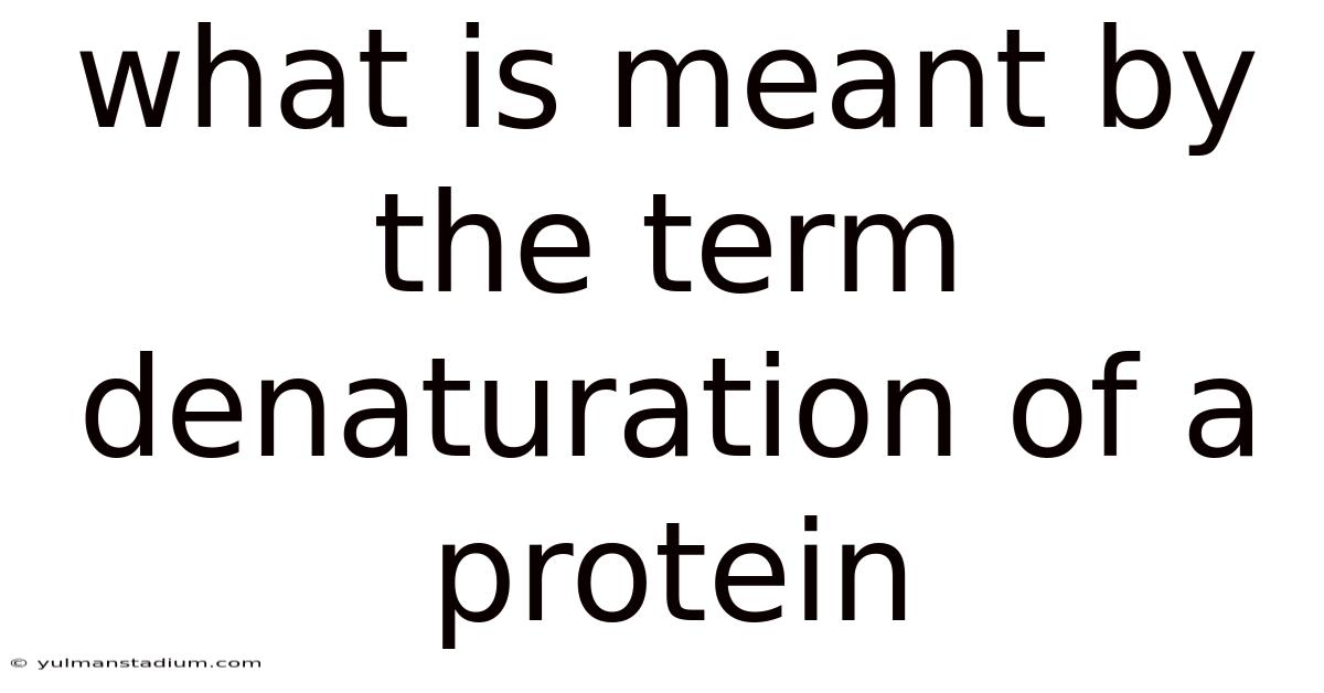 What Is Meant By The Term Denaturation Of A Protein