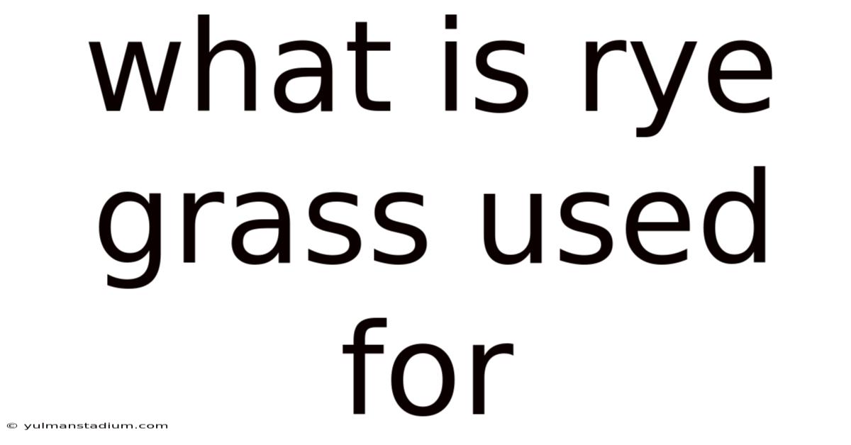 What Is Rye Grass Used For