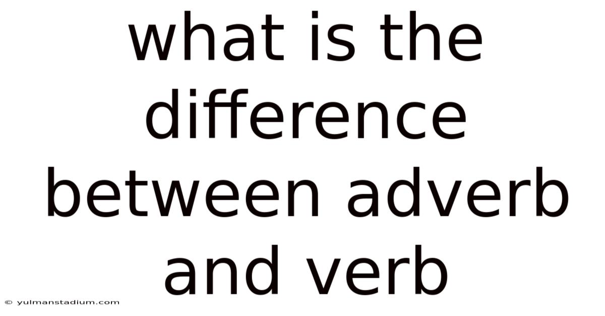What Is The Difference Between Adverb And Verb
