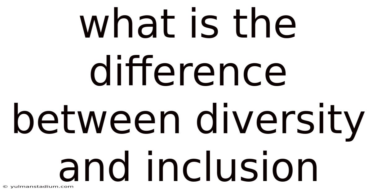 What Is The Difference Between Diversity And Inclusion