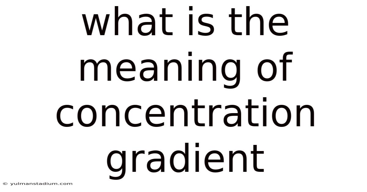 What Is The Meaning Of Concentration Gradient