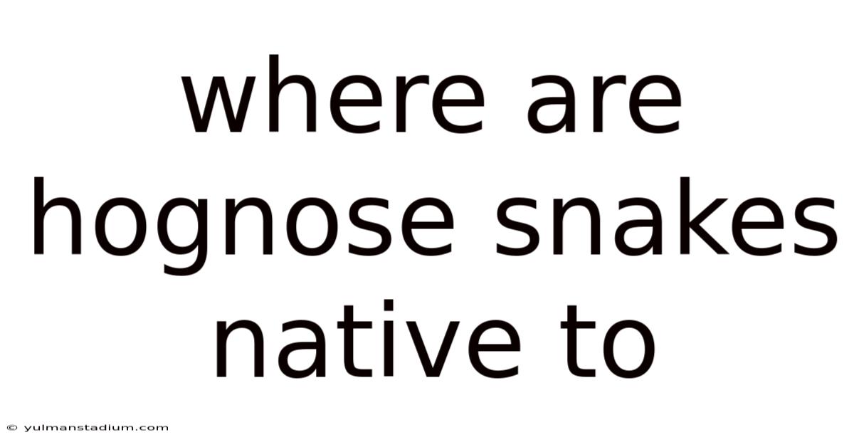 Where Are Hognose Snakes Native To